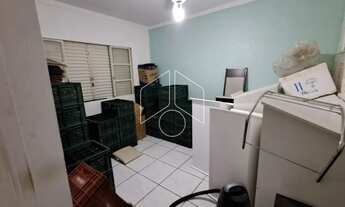 Imagem 7: Comercial GalpãoBarracão em Marília