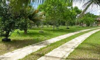 Imagem 6: Chácara-À VENDA-Zona Rural-Iranduba-AM