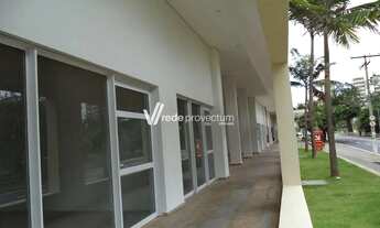 Imagem 6: Salão - Vila Itapura - Campinas