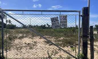 Imagem 5: Sítio em Piacabucu