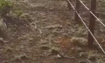 Imagem 3: Lote 400Mts 26 de Setembro Rua 5 Condomínio Formado Energia - Aceita Troca em Carro