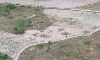 Imagem 3: Fazenda com 300 tarefas em São José da Tapera-AL