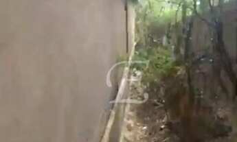 Imagem 5: Salão para alugar, 800 m² por R$ 24.680,00/mês - Tucuruvi - São Paulo/SP