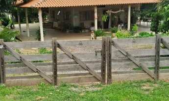 Imagem: FAZENDA NO MUNICÍPIO DE MARZAGAO 29 ALQUERES