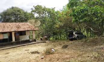 Imagem 4: Chácara 1 alqueire em Aragoiania