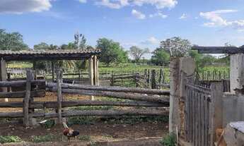 Imagem 6: Vendo fazenda Fazenda / sítio com venda por R$340.000