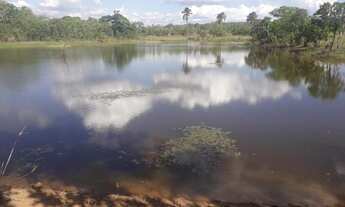 Imagem 2: 147 Alqs Ótima Em Logística Terra e Água Região 70Km Goianorte TO