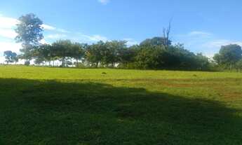 Imagem 3: Fazenda em Goiânia