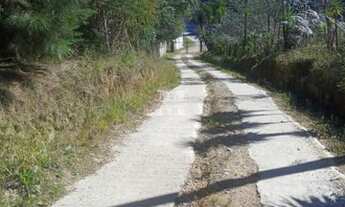 Imagem 2: Campo Largo, Terreno, Condominio Fechado, 5.000 m²