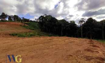 Imagem 5: Terreno Rural para Venda em Campo Largo, Itaqui de Cima