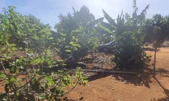 Imagem 2: EXCELENTE CHÁCARA A VENDA 7.5 HECTARES