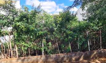 Imagem 6: Terreno 300 m² Jd. Império do sol