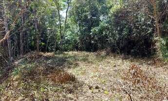 Imagem 2: Terreno Vilas Romanas