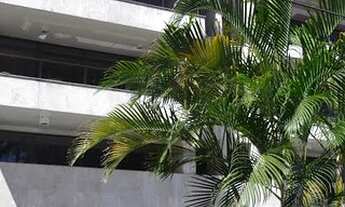 Imagem 5: PRAIA DE ICARAÍ frente para o mar varandao, 4 quartos 2 suites, 2 garagens