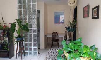 Imagem 4: RIO DE JANEIRO - Casa Padrão - TODOS OS SANTOS