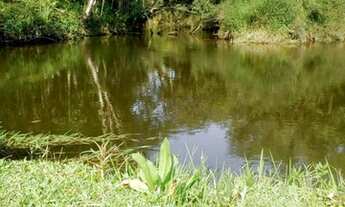 Imagem 3: Chácara em Barreirinha - Curitiba PR