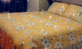 Imagem 5: Apartamento Venda Freguesia do Ó