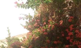 Imagem 7: Aconchegante Casa Térreo 2 Qts Mobiliada Planejada Doc Ok Centro