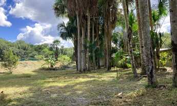 Imagem 7: Sítio com Igarapé, água corrente, perto da cidade, AM010, KM 32