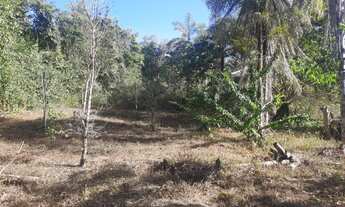 Imagem 4: VENDE-SE CHÁCARA 50ha - 7KM DE ALTO PARAÍSO DE GOIÁS SENTIDO MOINHO - ESCRITURA E REGISTRO