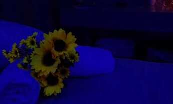 Imagem 7: Fácil sublocação Consultório / Sala com Maca em Água Verde