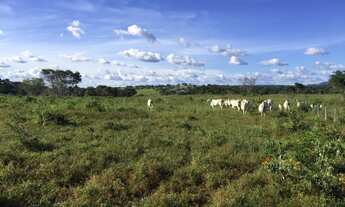 Imagem 7: Fazenda de 425 hectares proxima a Miracema