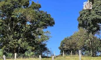 Imagem 6: Ótimo terreno com escritura, linda vista, boa localização, à venda, 2116 m² por R$ 180.000