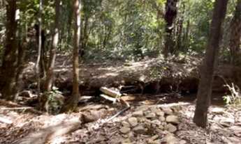 Imagem 6: Chácara 10.000 m2 DF 190 175.000,00