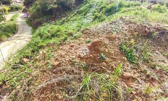 Imagem 4: Terreno Residencial para Venda no Centro em Colombo, 596.96m²