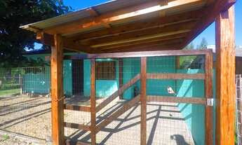 Imagem 3: Casa para venda tem 53 metros quadrados com 2 quartos em Guarani - Capão da Canoa - RS