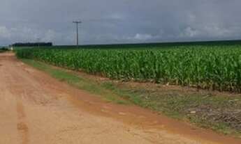 Imagem 2: FAZENDA Campos de Júlio 9.700 ha - Mato Grosso