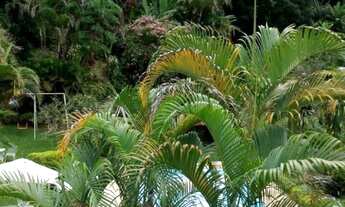 Imagem: Casa em Itaipava Locacao 5 Quartos e 4 vagas