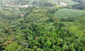 Imagem 5: Chácara à Venda em Massaranduba na Localidade do Segundo Braço