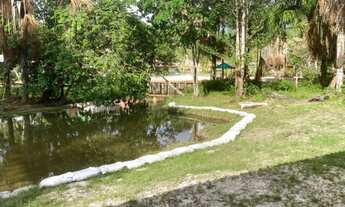 Imagem 2: Sítio com Igarapé, água corrente, perto da cidade, AM010, KM 32