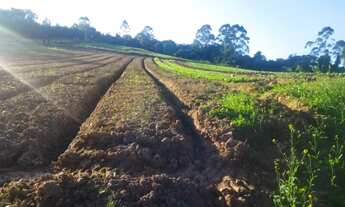 Imagem 6: Lote/Terreno para venda tem 500 metros quadrados em Verava - Ibiúna - SP