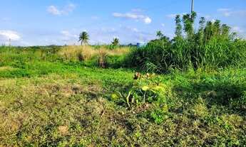 Imagem 5: Chácara com 4 hectare