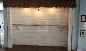 Imagem 4: CAMPINAS - Casa Comercial - Cambuí