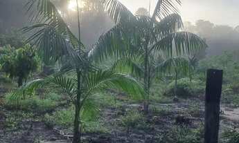 Imagem 3: Sitio em Benevides