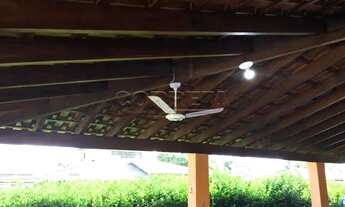 Imagem 7: Santo Antônio do Aracanguá - Fazenda/Sítio - Macaúba