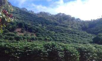 Imagem 5: Fazenda á venda em - Jaguaré - ES