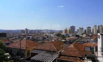 Imagem 3: São Paulo - Casa Padrão - CASA VERDE