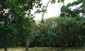 Imagem 5: Terreno para Venda em Embu das Artes, Jardim Colibri