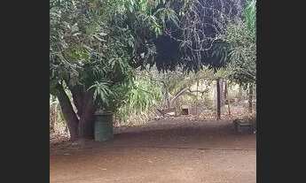 Imagem 7: Vendo uma chácara na taboquinha município de Padre Bernardo Goiás