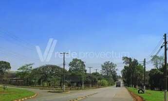 Imagem 5: Terreno - Betel - Paulínia