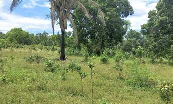 Imagem 2: URGENTE!!! Oportunidade Fazenda 2.362 ha abaixo da avaliação