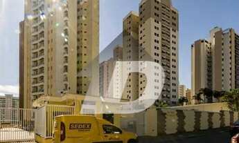 Imagem: Cobertura - Chácara Primavera - Campinas