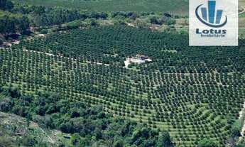 Imagem: Sítio rural à venda, Guedes, Jaguariúna