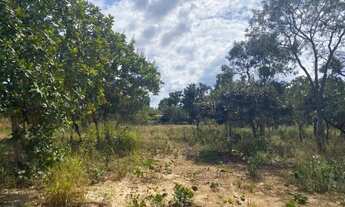 Imagem 3: Sitio 4.00m² todo plano,com poço artesiano Jaboticatubas