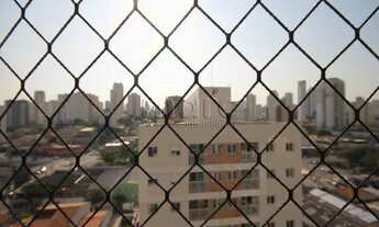 Imagem 7: SAO PAULO - Apartamento Padrão - VILA GUMERCINDO