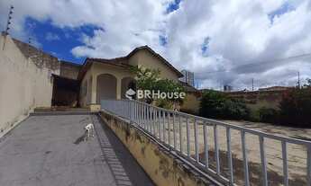 Imagem 1: Bosque da Saúde